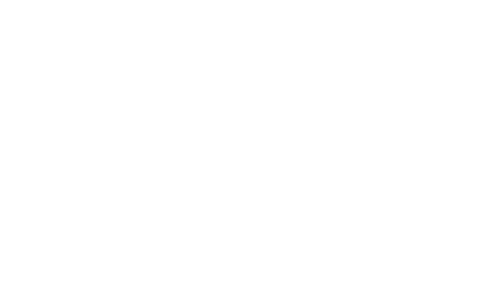 Empresas en carrera